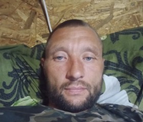 Шалун, 39 лет, Новосибирск
