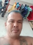 Erwin martin, 42 года, Cebu City