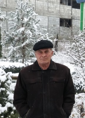 vladimir avdeev, 65, O‘zbekiston Respublikasi, Toshkent