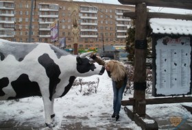 SNEZhNAYa, 58 - Зима и Я