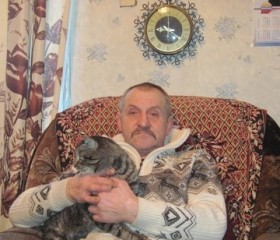 Сергей, 66 лет, Игра