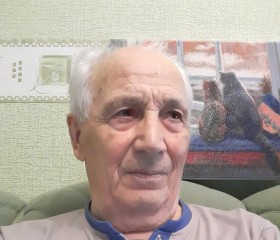 Михаил, 75 лет, Новосибирск