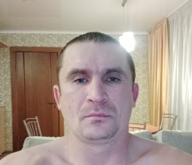 Евгений, 38 лет, Железногорск (Курская обл.)