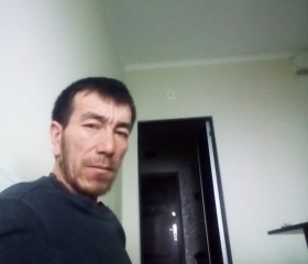 Davronbek, 39 лет, Ат-Башы