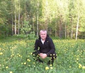 Николай, 52 года, Сосногорск