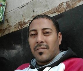تحياتي لمن دمر ح, 30, Cairo