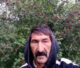Ринат, 54 года, Новокузнецк