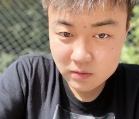 除尘器, 24, Shiyan