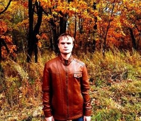 Дмитрий, 41 год, Лесозаводск