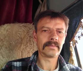 Александр, 53 года, Александро-Невский
