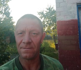Андрей, 48 лет, Добруш