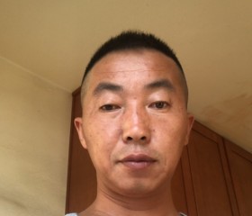 Weidong, 47 лет, Renton