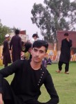 Shaheen afghan, 21 год, چکوال‎