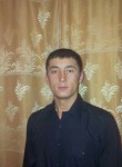 Антон, 34 года, Барнаул