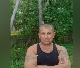 Олег, 39 лет, Плесецк