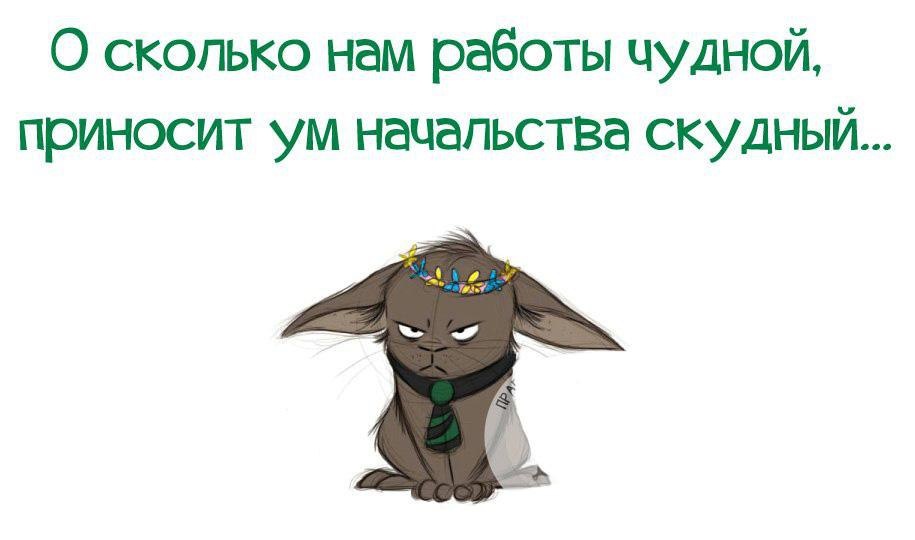 Смешные картинки про директора дебила, простите ошиблась