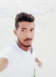 عبده ابوشامه, 23, Alexandria