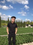 Виктор, 20 лет, Краснодар