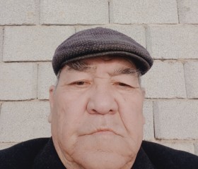 Амир, 68 лет, Шымкент