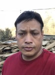 Rajaram pra, 44 года, Kathmandu