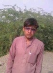 Mehmood Sahil, 18 лет, جلال‌آباد