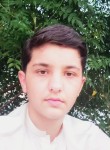 Zeeshan, 18 лет, پشاور