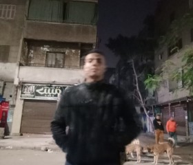 Ali Abdelrahman, 23 года, القاهرة