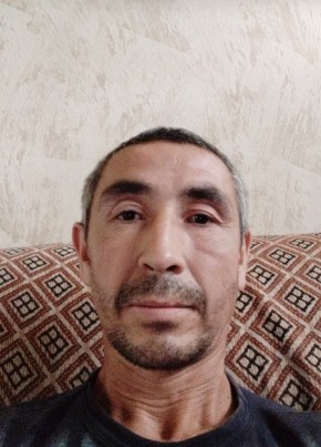Равиль, 40, Россия, Тула