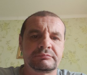 Veceslav, 43 года, Berezeni