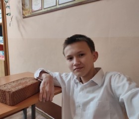 Алексей Борисов, 18 лет, Новосибирск