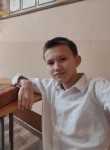 Алексей Борисов, 18 лет, Новосибирск