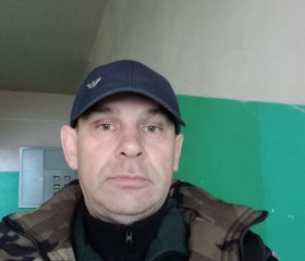 Леонид, 53 года, Бежецк