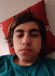 Rodrigo, 20 лет, Concord (State of California)