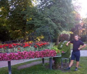Юрій, 28 лет, Gliwice