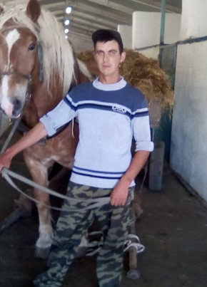 Александр, 29, Қазақстан, Петропавл