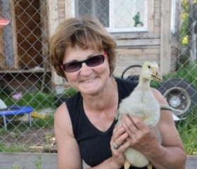 Галина, 62 года, Шатура