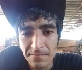 Alan, 34, Ciudad de Villa de Alvarez