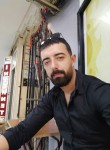Feridun, 34 года, Ankara