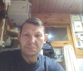 Валерий, 53 года, Кемерово