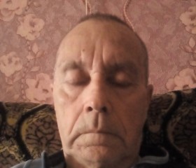 Вячеслав, 66 лет, Шуя