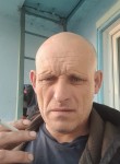 Николай, 50 лет, Челябинск