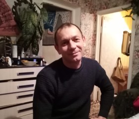 Андрей, 46 лет, Саров