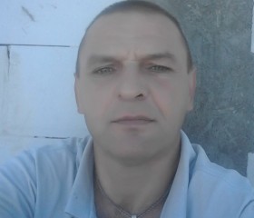 Игорь Шлейник, 49 лет, Panevėžys