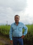 Олег - Ростов-на-Дону