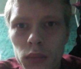 Илья, 27 лет, Боровичи
