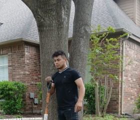 Henrri, 22, Plano