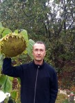 Дмитрий - Железногорск (Курская обл.)