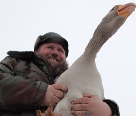 Андрей Гуслинг, 43 года, Волгоград