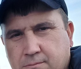 Виктор, 42 года, Мурманск