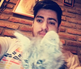 Nobody, 36, Santiago